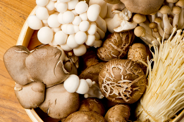 The Benefits of Mushrooms