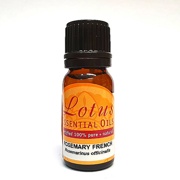 Lotus Rosemary French Oil 10ml