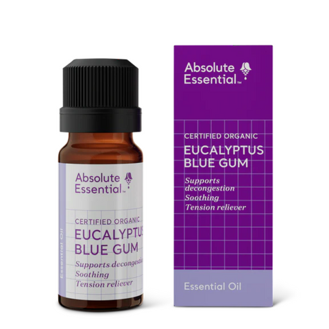 Absolute Essential Eucalyptus Blue Gum Organic 10ml